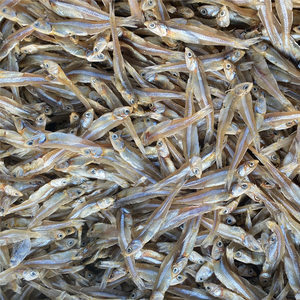 北海銀魚仔 鮮美海味，干貨之選——最新批發報價與市場指南